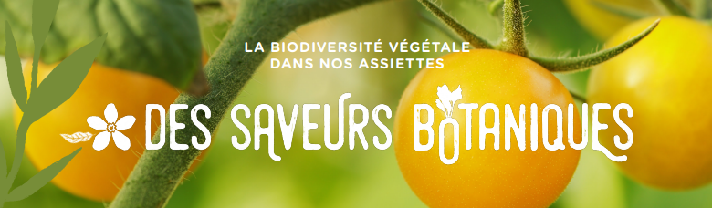 Bannière Des Saveurs Botaniques - Espace pour la vie